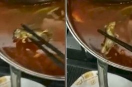 Ibu Hamil Makan Sup Tikus Mati, Pihak Resto Beri Rp43 Juta untuk Gugurkan Kandungan