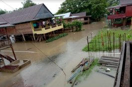 Sungai Walennae Meluap, Dua Desa dan Dua Kelurahan di Wajo Terendam