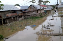 Curah Hujan Tinggi, Dua kelurahan di Kecamatan Tempe Wajo Terendam Banjir