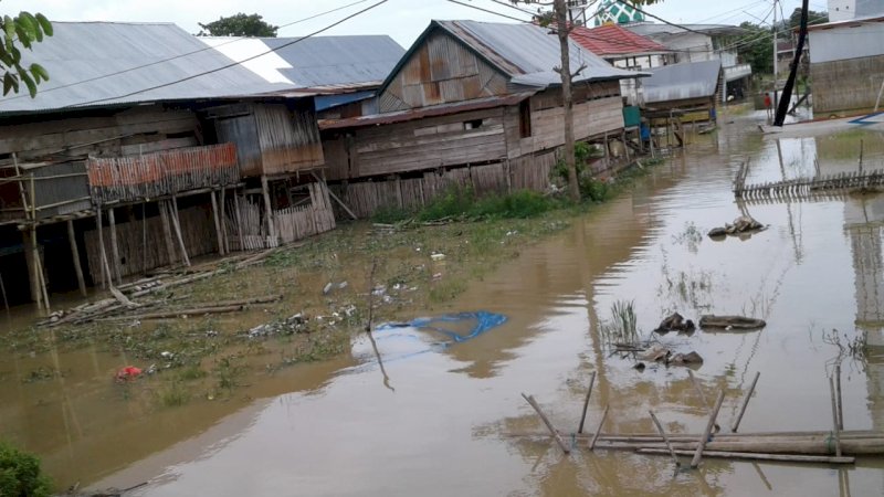 Curah Hujan Tinggi, Dua kelurahan di Kecamatan Tempe Wajo Terendam Banjir