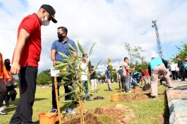 Gerakan Tanam 10.000 Pohon, Wakil Wali Kota Palopo: Kita Canangkan Terus Menerus