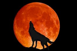 Ini Waktu Pas Saksikan Bulan Purnama Serigala 29 Januari