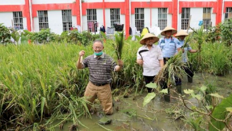 Eks Wali Kota Bandung, Dada Rosada, dan eks Ketua DPR RI, Setya Novanto, panen padi di Lapas Sukamiskin. (Foto: (Istimewa)