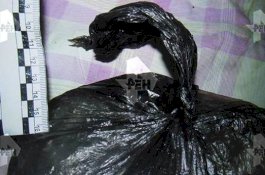 Wanita Ini Mutilasi Teman Sekamarnya Jadi 5 Kantong Plastik karena Kesal Kucingnya Dibunuh