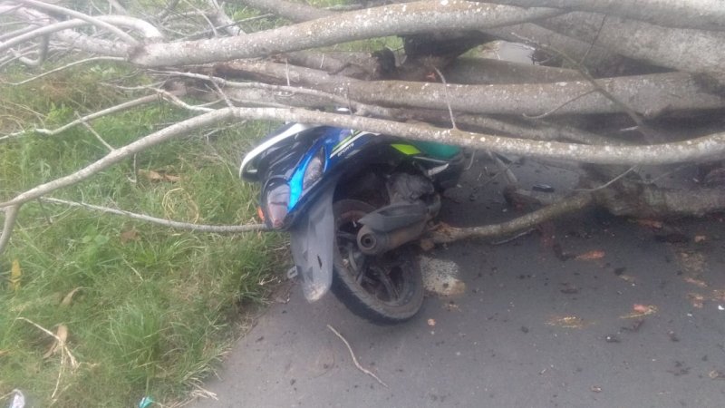 Motor korban yang tertimpa pohon tumbang di Bontomacinna, Rabu (3/2/2021).
