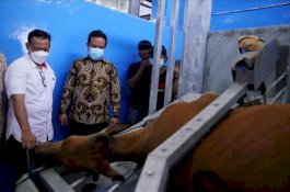 Ditinjau Wagub Sulsel, Begini Kecanggihan Rumah Potong Hewan Tamangapa Sekarang 