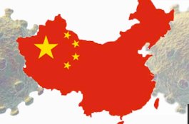 Sangat Panjang dan Rumit, WHO soal COVID-19 Bisa Sampai ke Wuhan