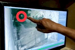 Hendak Selamatkan Kucing, Kronologi Warga Jeneponto Lihat Pocong Lari Terbirit-birit Dikejar Anjing