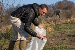 Ilmuwan Ini Bikin Miras dari Kotoran Gajah, Harganya Rp450 Ribu Per Botol