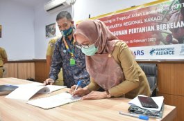 ICRAF Jadikan Luwu Utara Pusat Pembangunan Kakao Berkelanjutan