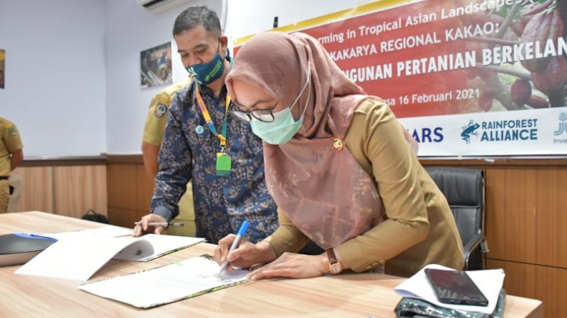 ICRAF Jadikan Luwu Utara Pusat Pembangunan Kakao Berkelanjutan