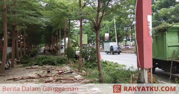 Ganggu Pemandangan Tamu DLH Pangkas Pohon  Ketapang Atas 