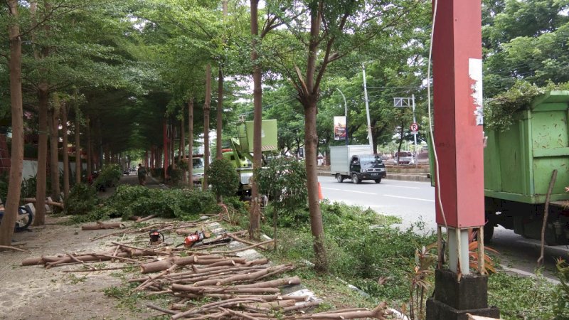 Petugas DLH Makassar melakukan pemangkasan pohon ketapang di depan Hotel Imperial, Kecamatan Ujung Pandang,  Kamis, (19/2/2021).