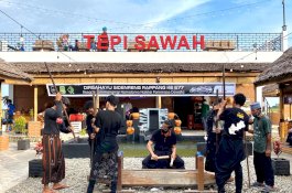 Lestarikan Warisan Budaya, Milenial Mappadendang di Tepi Sawah Sidrap