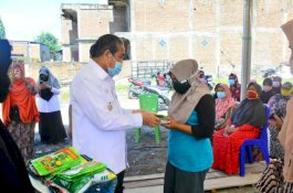 Pekarangan Rumah Jadi Sumber Pangan, Bupati Sidrap Serahkan Benih kepada Kelompok Tani