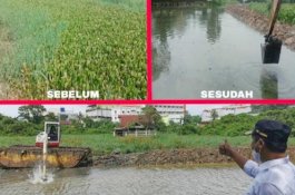 Atas Inisiatif Wagub Sulsel, Warga Paccerakkang: Alhamdulillah Kami Tidak Kebanjiran Lagi