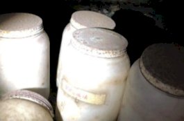 Polisi Kaget Temukan 8 Botol Lidah Manusia di Bekas Rumah Profesor