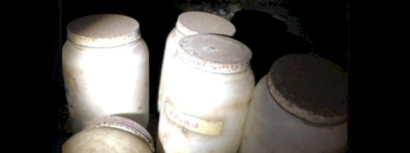 Polisi Kaget Temukan 8 Botol Lidah Manusia di Bekas Rumah Profesor