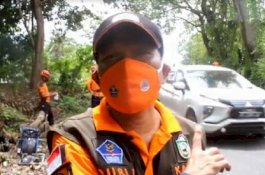 Pemkot Parepare Tebang Pohon Rawan Tumbang