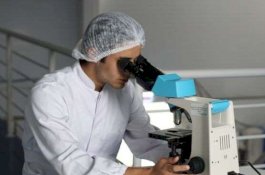 Ada 70 Ribu Virus Baru Ditemukan di Usus Manusia