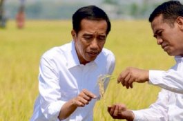 Pengamat: Andi Amran Sulaiman Lebih Cocok Berpasangan Puan, Ganjar, atau Prabowo