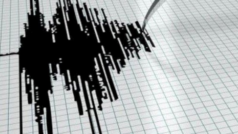 Gempa Magnitudo 8,1 Picu Alarm Tsunami, Puluhan Ribu Penduduk Selandia Baru Selamatkan Diri