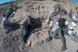 Ilmuwan Argentina Temukan Fosil Titanosaurus, Anggota Tertua Kelompok Dinosaurus