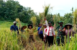 Petani Berterima Kasih, Panen Perdana Program PATB Padi di Cilacap Memuaskan