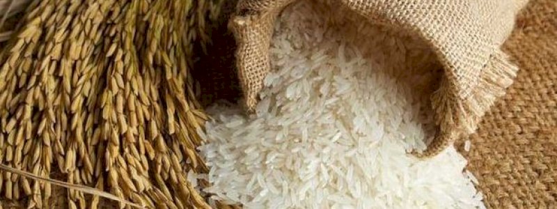 Bulog: Pasokan Beras Aman Enam Bulan ke Depan