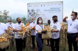 Kolaborasi Kementan-BNI Bangun Ekosistem Smartfarming