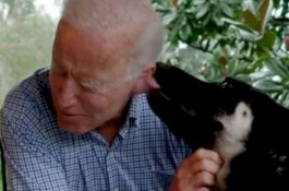 Galak, Anjing Milik Presiden Joe Biden Gigit Satpam Gedung Putih