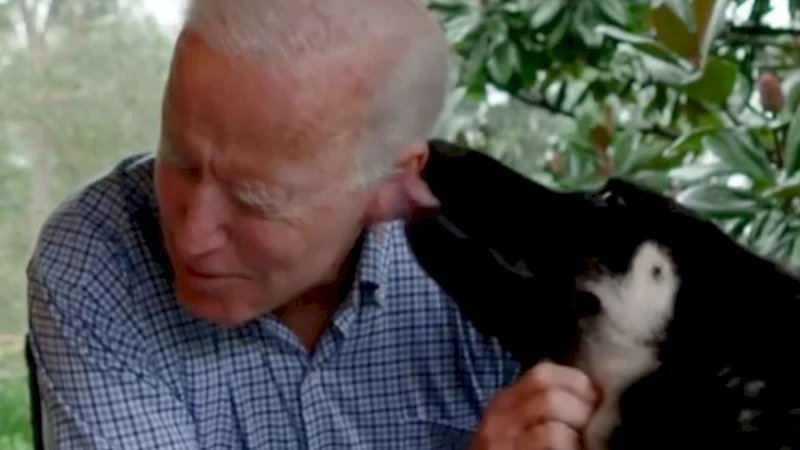 Presiden Amerika Serikat, Joe Biden, bermain dengan anjingnya. (Foto: Media sosial Joe Biden)