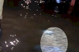 Diduga Tersengat Listrik, Perempuan 21 Tahun Ditemukan Tewas Tertelungkup dalam Genangan Banjir