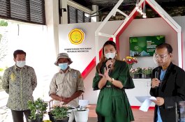 Guru Besar IPB: Pendapatan Penjual Tanaman Hias Jauh Lebih Besar dari Profesor