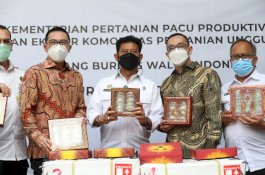 Pacu Ekspor Sarang Walet, Mentan Kunjungi Rumah Prosesing di Jawa Timur