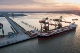 Inovasi Pemerintah, Ekspor Produk Pertanian Kini Lebih Cepat