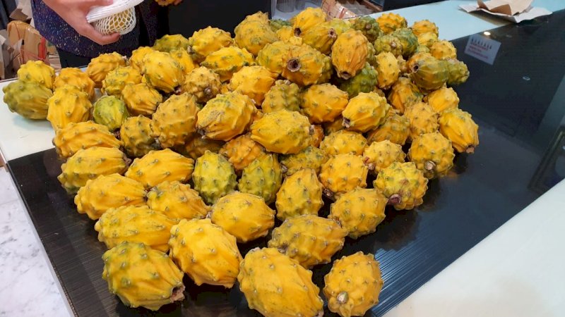 Ada Buah Naga Berwarna Kuning, Ini Penjelasannya