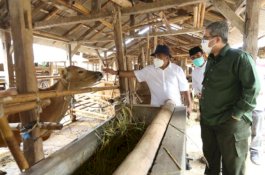 Punya Potensi Besar, Kementan Fasilitasi Industrialisasi Peternakan NTB