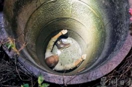 Cerita Kakek yang Terjebak Dalam Sumur Selama 37 Jam, Bertahan Hidup Hanya Memakan Kodok