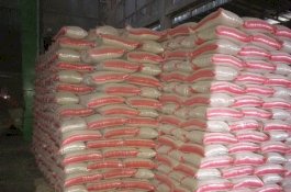 Kementan Lakukan Upaya Serap Gabah Petani di Banten