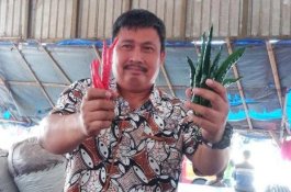 Jelang HKBN, Kementan Pantau Pusat Tanaman Cabai Terbesar di Garut   