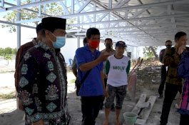 Giliran Gubernur Kalimantan Utara Kunjungi Kebun Porang Sidrap Binaan Syaharuddin Alrif