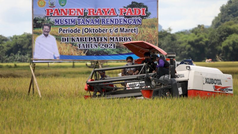 Optimisme Bupati Maros dan Barru pada Musim Panen Tahun Ini