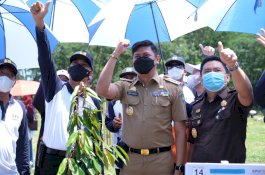 Hari Air Sedunia, Bupati Gowa Tanam Pohon di Bendungan Bili-Bili
