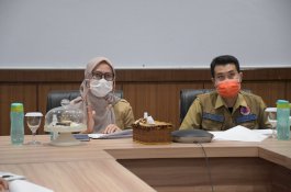 Bupati Luwu Utara Laporkan Penanganan Pasca Banjir Bandang ke Doni Monardo