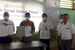 Cegah Harga Jatuh, Kementan dan PT Pertani Bersinergi Serap Gabah Petani