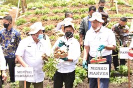 Menko Luhut Puas Progres Pengembangan Food Estate di Kabupaten Humbang Hasundutan