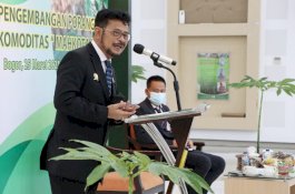 Mentan SYL Masukkan Porang dalam Gratieks, Komoditas Unggulan Penuh Potensi