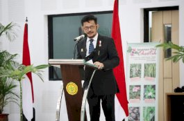 Mantap! Indonesia Rangking 3 sebagai Penghasil Beras Terbesar di Dunia