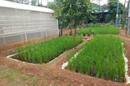 Masyarakat Antusias, Program P2L di Jakarta Utara Terus Meluas